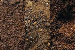 Boden / Mutterboden image